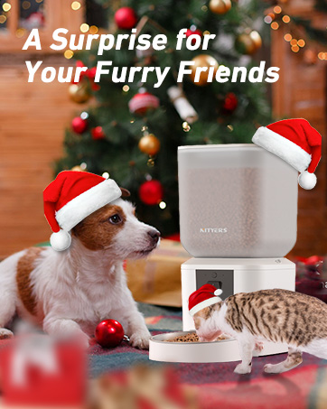 A gift for your furry friend