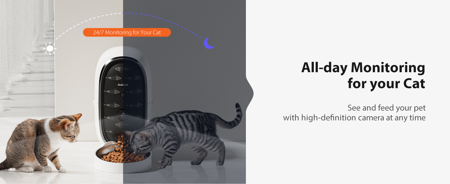 Automatic Cat Feeder