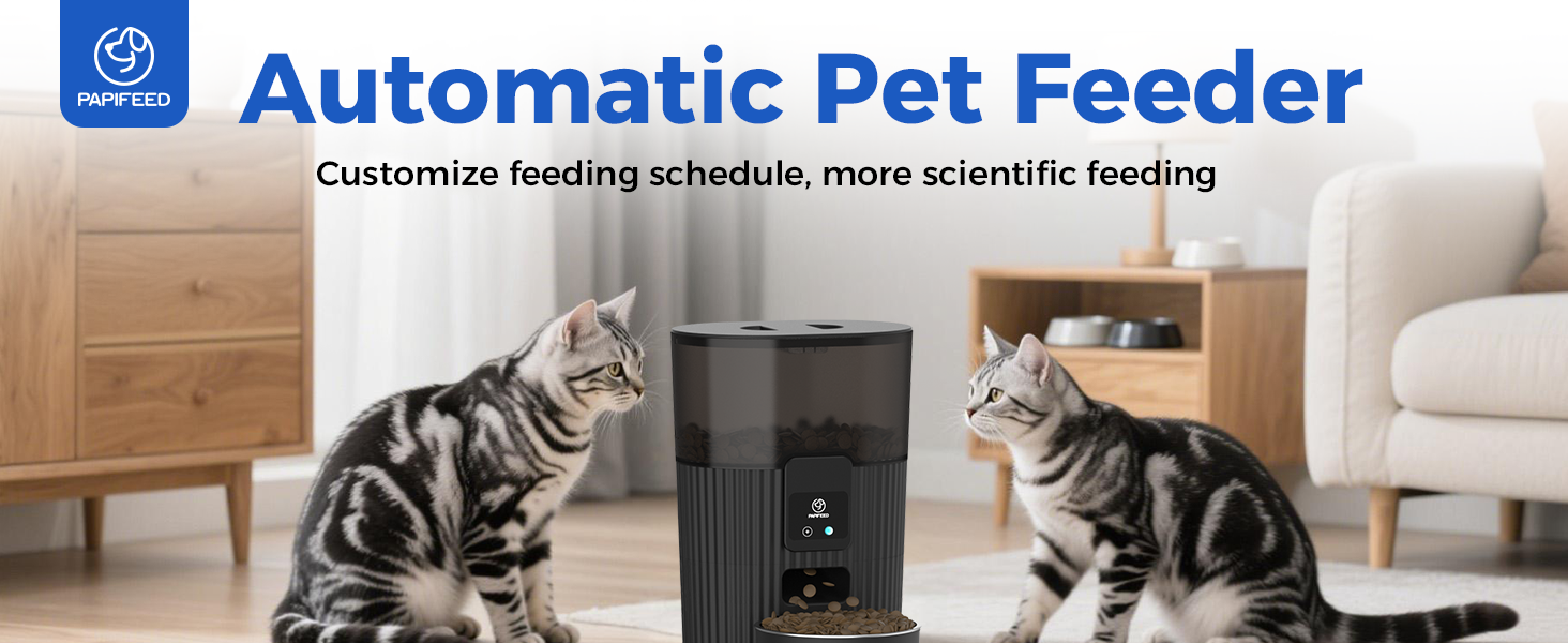 cat feeder