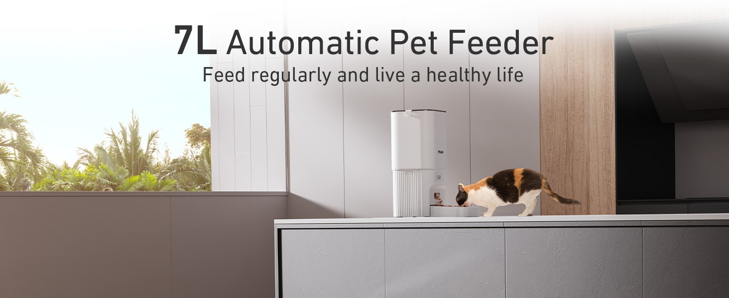 comedero automático para perros