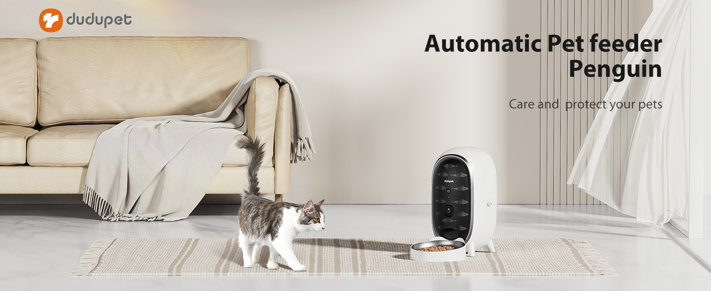 automatic cat feeder