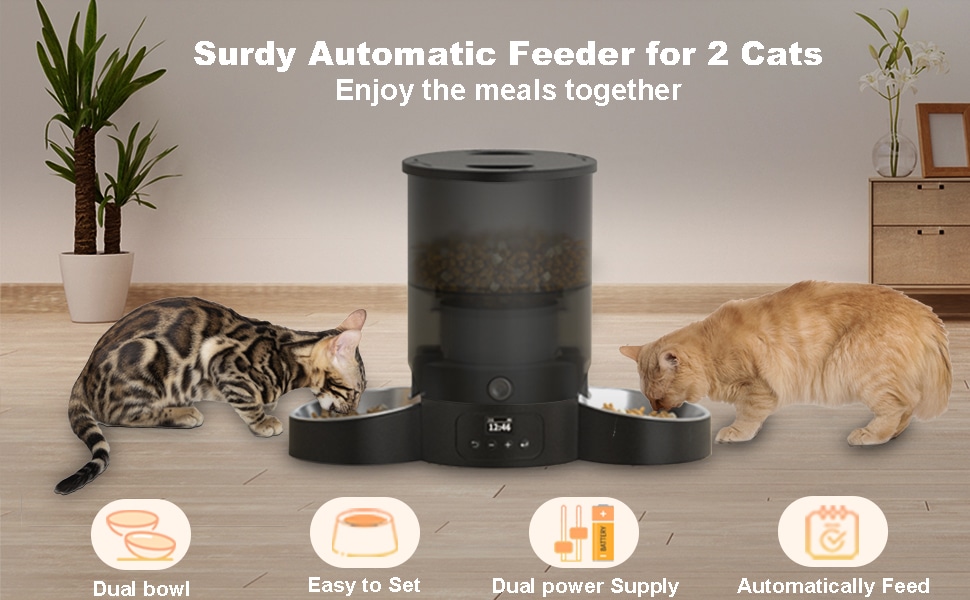 Automatic Cat Feeder for 2 Cats
