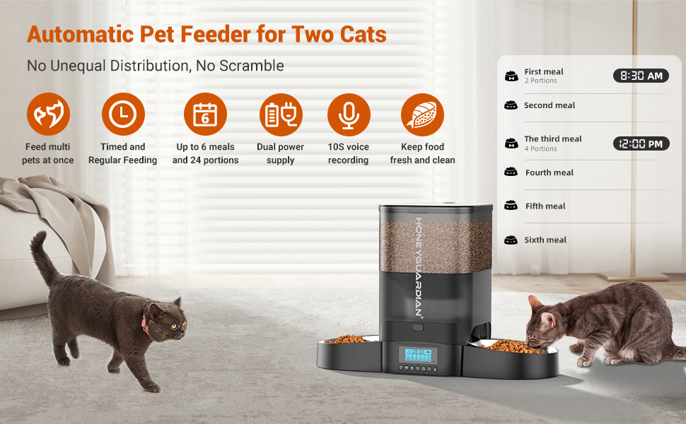 cat feeder