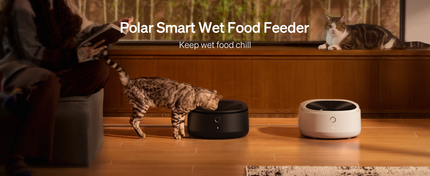 automatic cat feeder