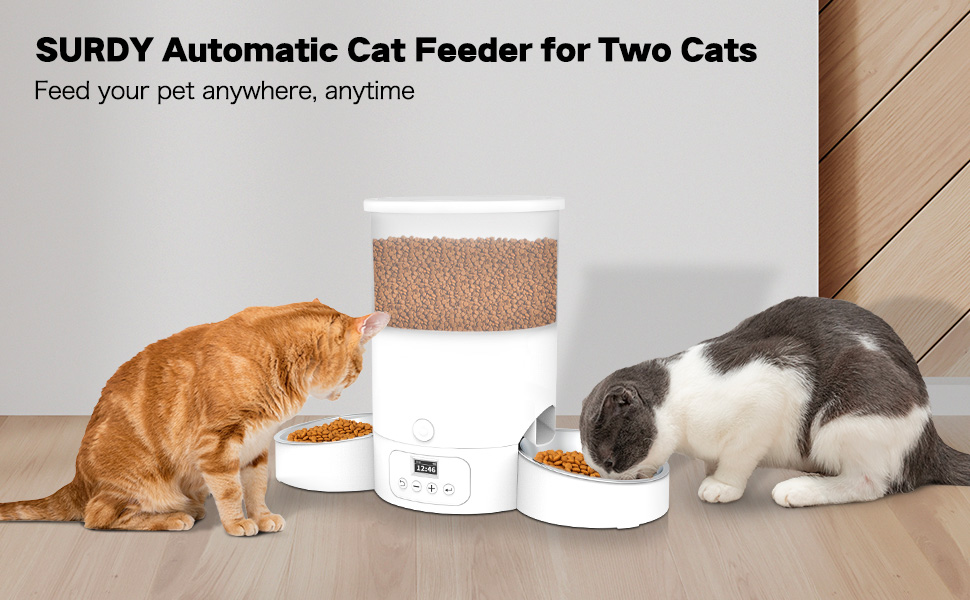 Automatic Cat Feeder